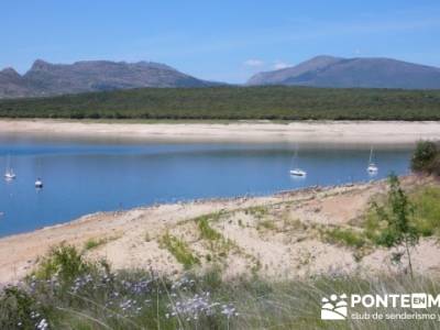 Senda Genaro - GR300 - Embalse de El Atazar - Embalse de Puentes Viejas - Presa de El Villar